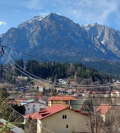 Mountain View Appartement Buşteni Buitenkant foto