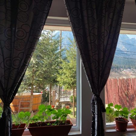 Mountain View Appartement Buşteni Buitenkant foto