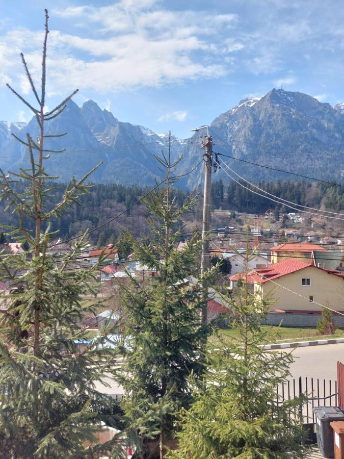 Mountain View Appartement Buşteni Buitenkant foto