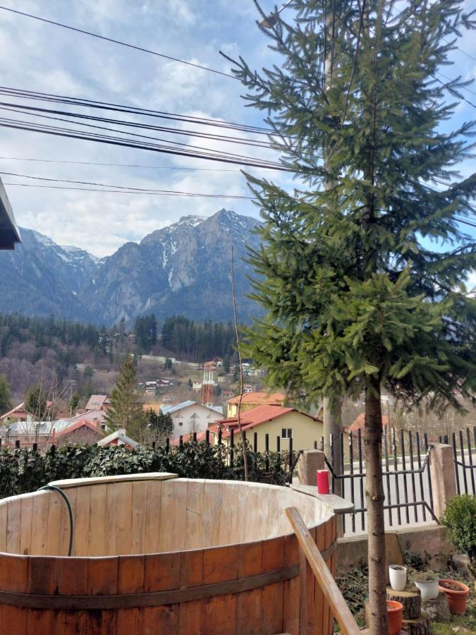 Mountain View Appartement Buşteni Buitenkant foto