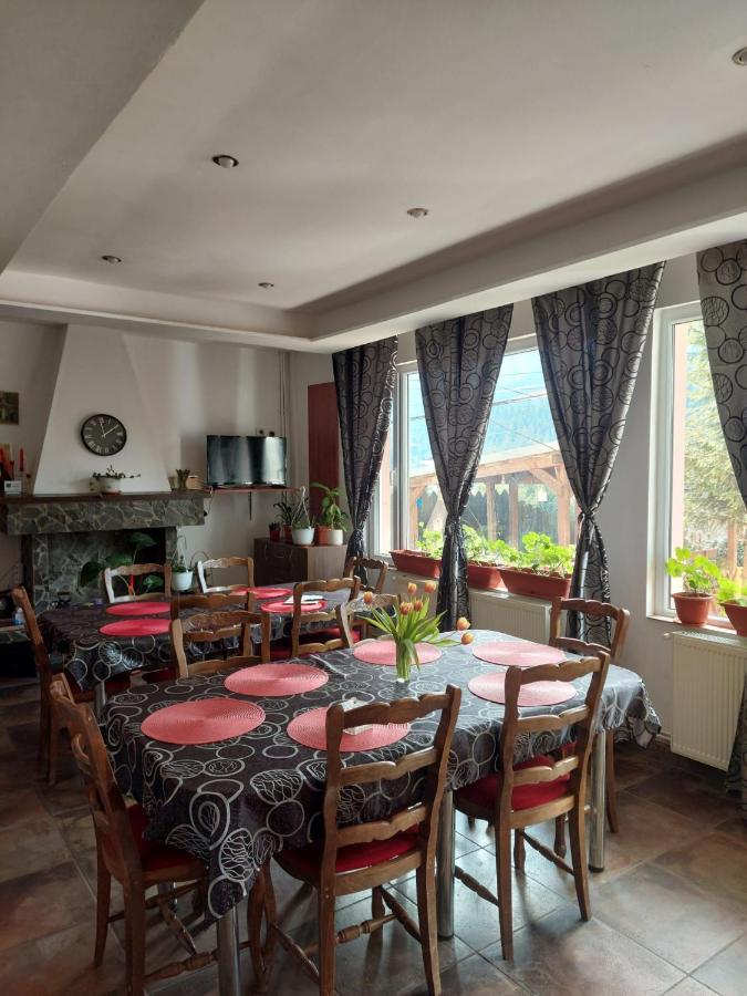 Mountain View Appartement Buşteni Buitenkant foto