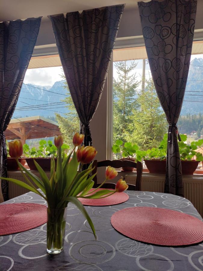 Mountain View Appartement Buşteni Buitenkant foto