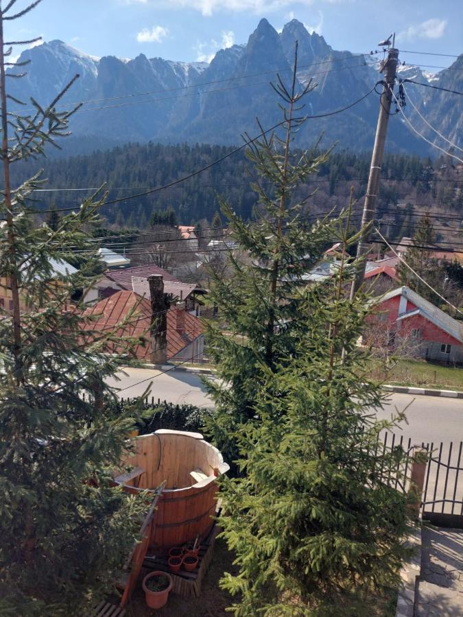 Mountain View Appartement Buşteni Buitenkant foto