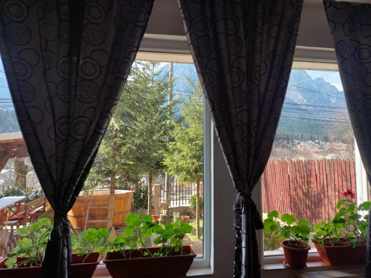 Mountain View Appartement Buşteni Buitenkant foto