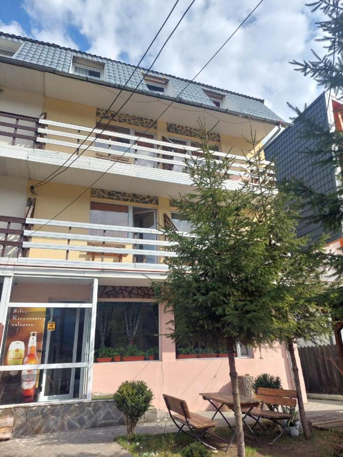 Mountain View Appartement Buşteni Buitenkant foto