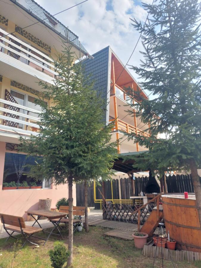 Mountain View Appartement Buşteni Buitenkant foto